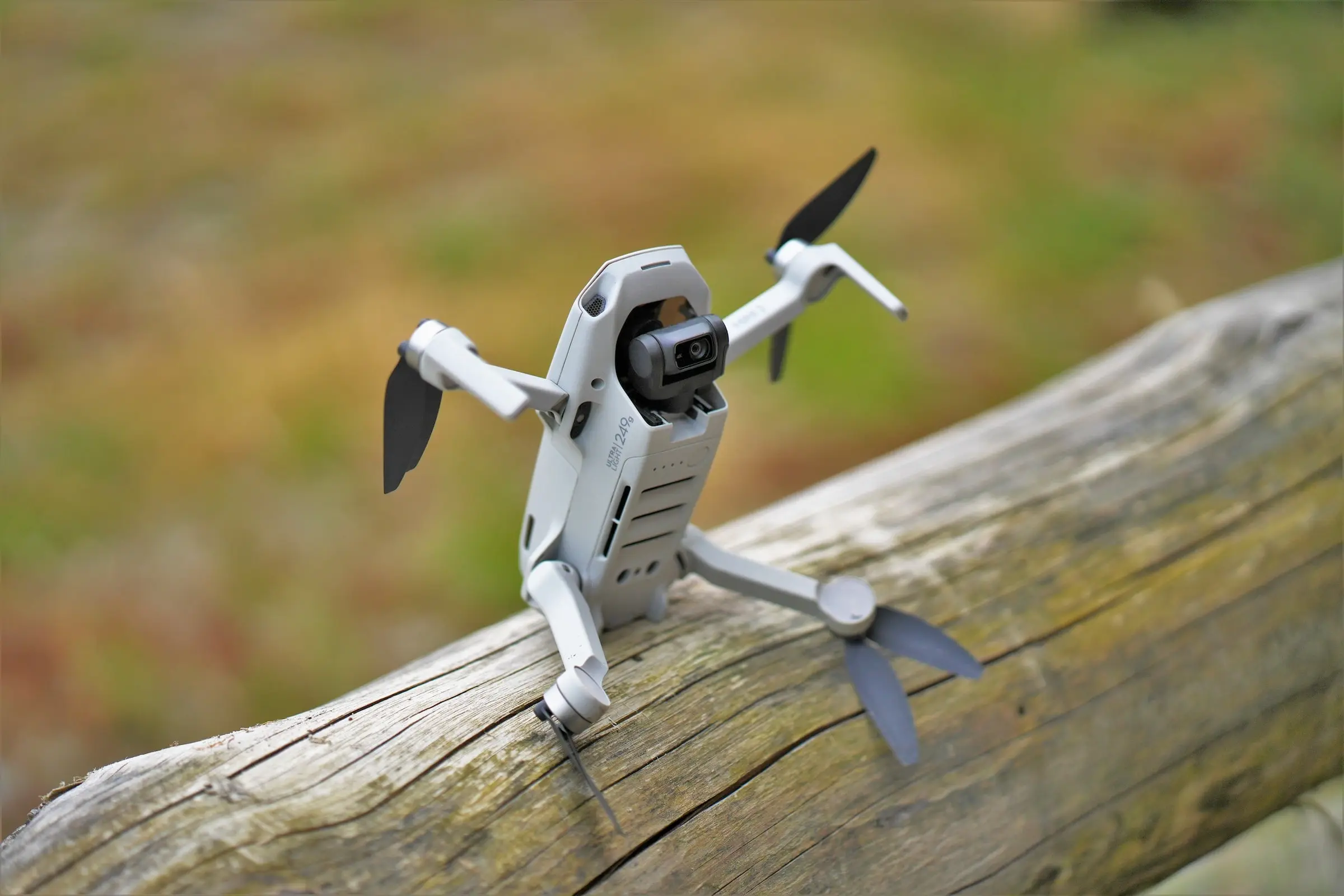 Drohne DJI Mini 2 sitzt auf einem Baumstamm