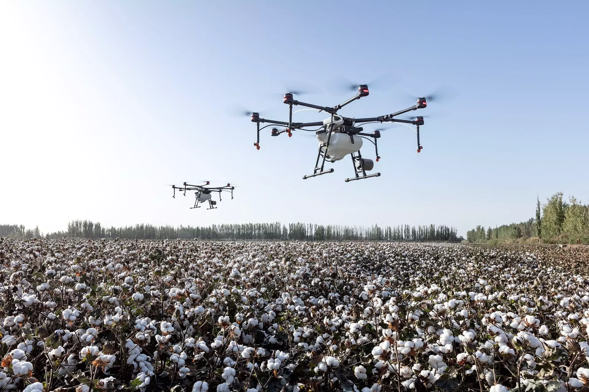 2 Drohnen kontrollieren Baumwollfeld