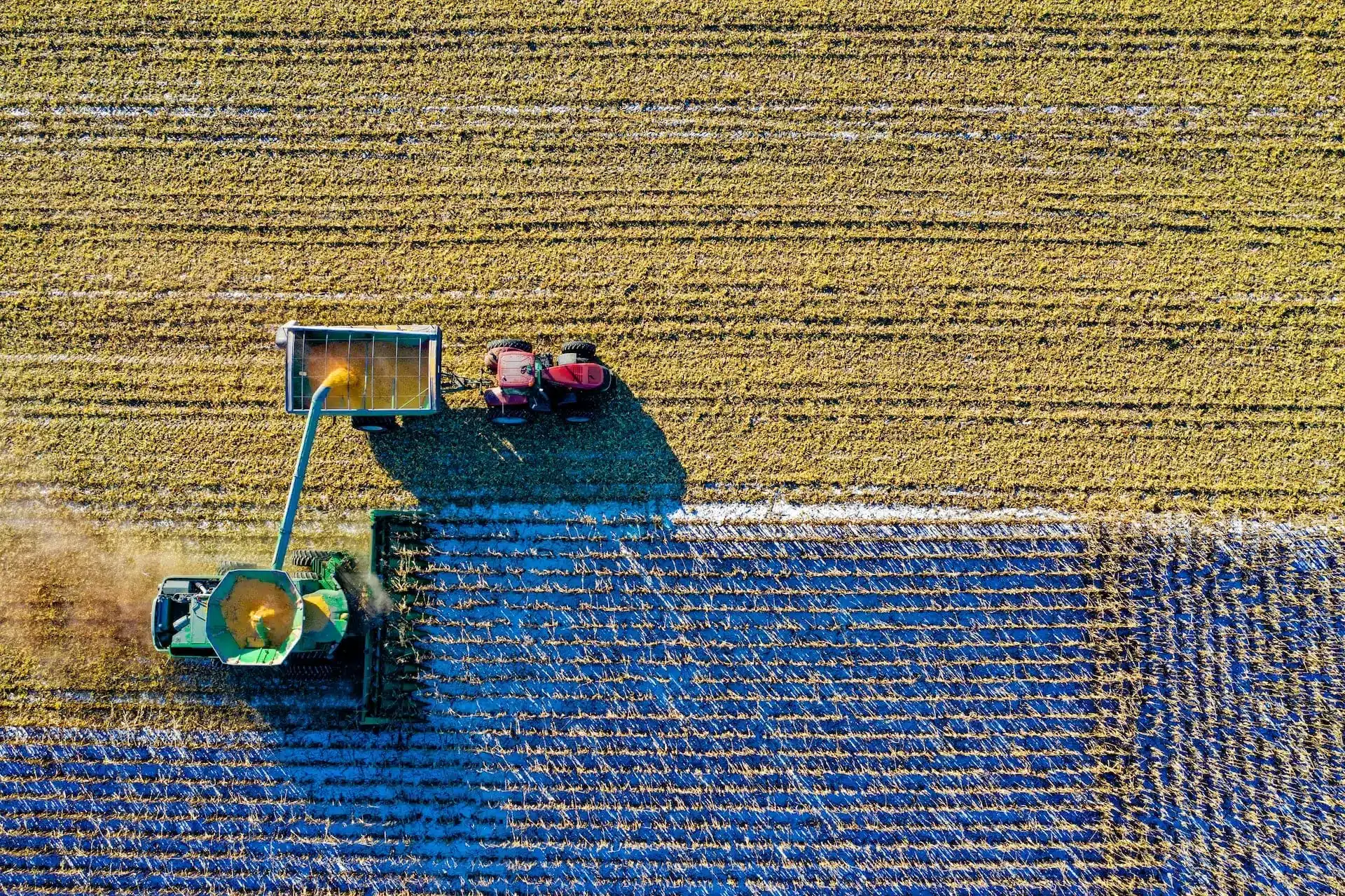 Drohne filmt von oben bei der Ernte